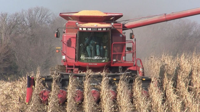 case combine 2388
